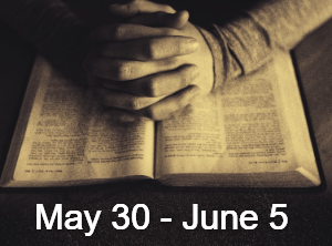Women's Bible Study